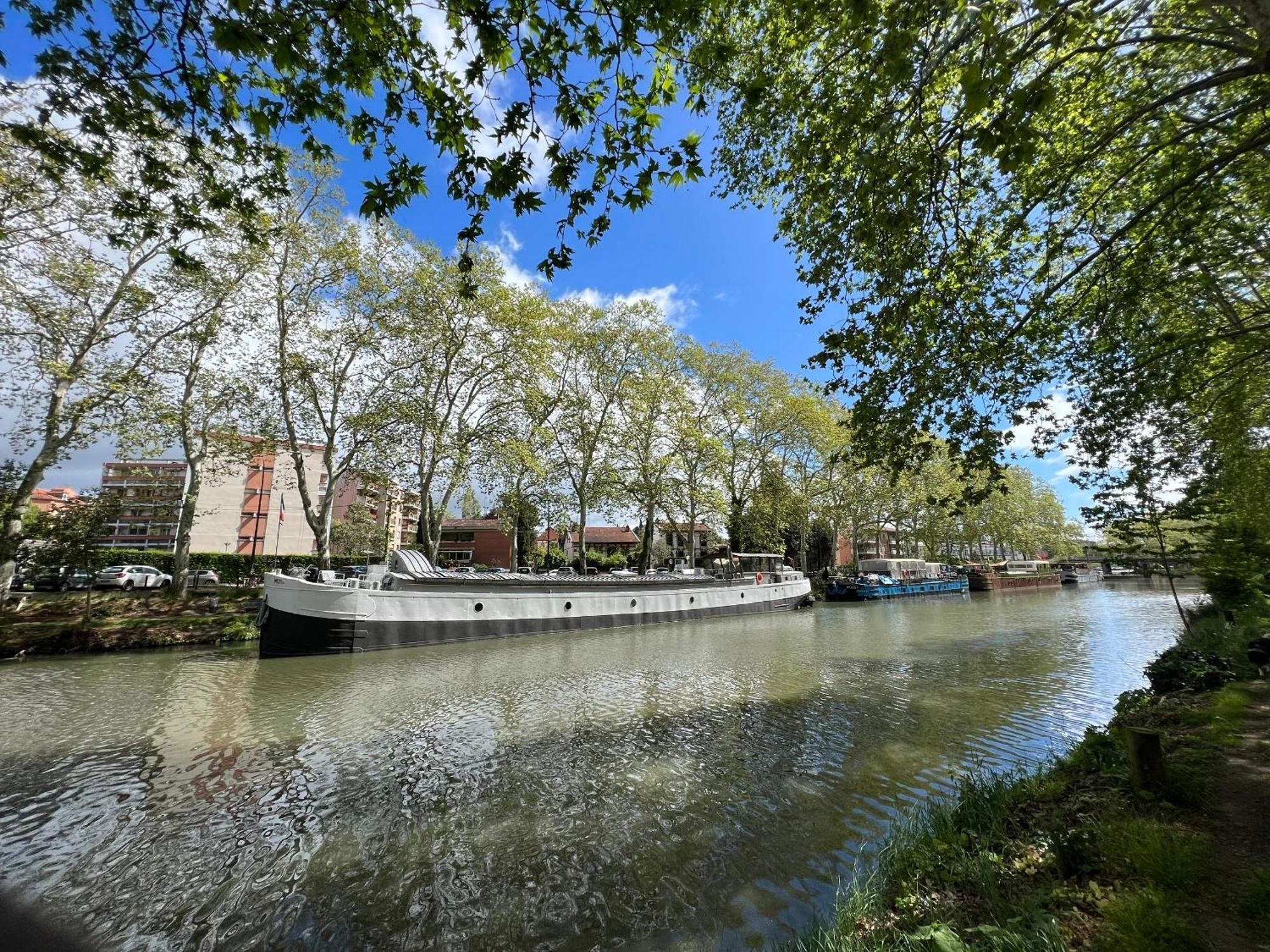 Sunset Duplex - Grand-Rond, Jardin Des Plantes, Centre-Ville, 2 Bdrs 60M2, Ac, Free Public Car Park 200M Away, Netflix - T3 60M2 Avec Clim, Parking Public Gratuit A 200M Toulouse Dış mekan fotoğraf